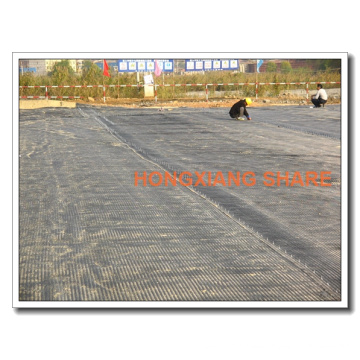 Baixial Geogrid PP de Alta Resistencia con Certificado Ce para la Fundación Road Soil